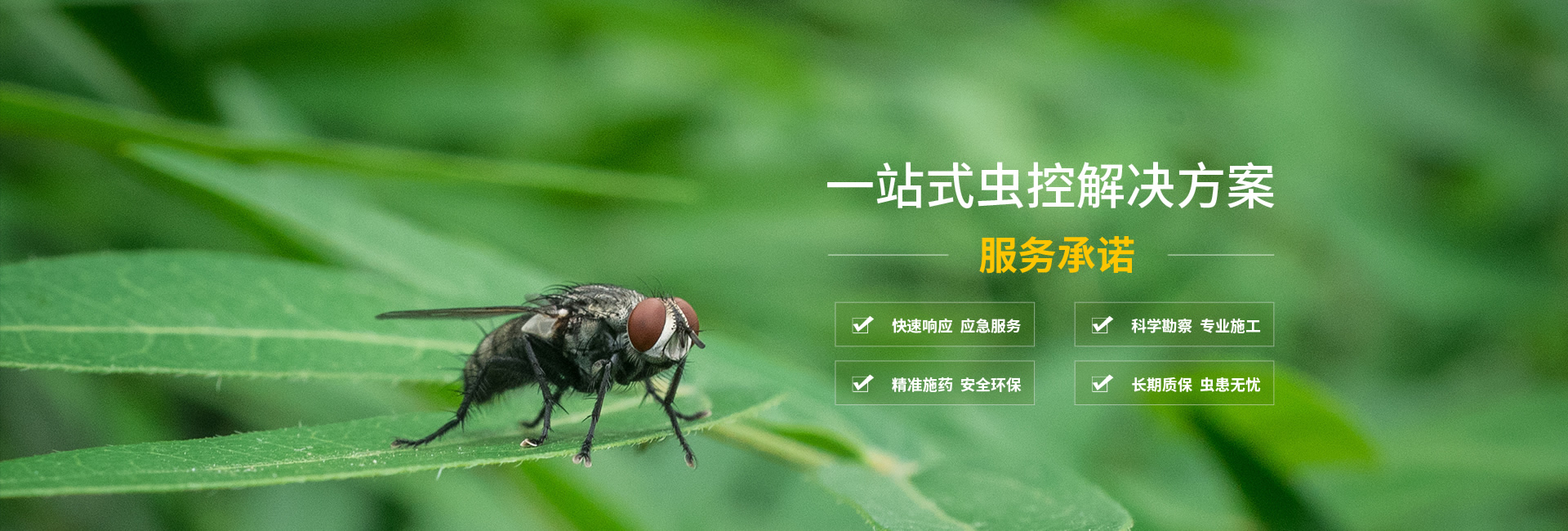 一站式虫控解决Ҏ